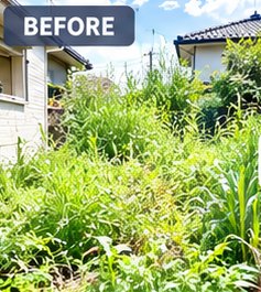 作業前の草が伸びた庭